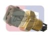 PEUGE 1920C5 Sender Unit, intake air temperature
